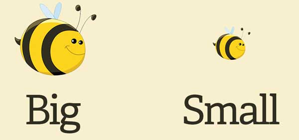 Những cặp từ trái nghĩa phổ biến