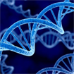 Giáo án Sinh học 9 bài ADN và bản chất của gen