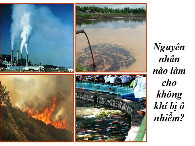 Ví dụ minh họa sự ô nhiễm môi trường Ví dụ minh họa sự ô nhiễm môi trường