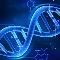 Giáo án Sinh học 9 bài ADN
