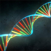 Giáo án Sinh học 9 bài Thực hành quan sát và lắp mô hình ADN