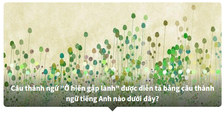 Thành ngữ tiếng Việt được dịch ra tiếng Anh - Bạn biết nhiều hay ít?
