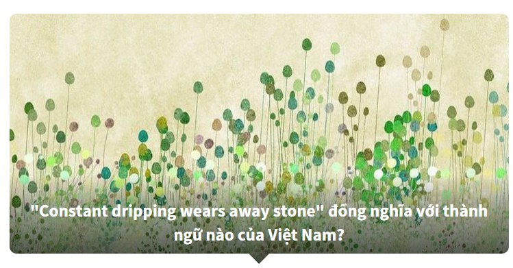 Thành ngữ tiếng Việt được dịch ra tiếng Anh - Bạn biết nhiều hay ít?