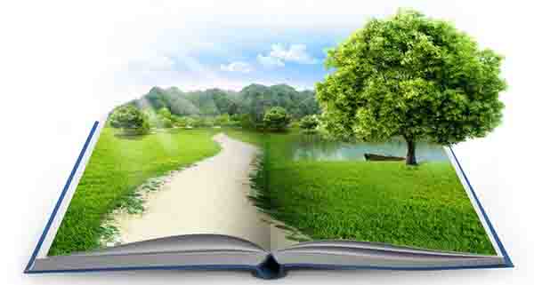 Từ vựng tiếng Anh theo chủ đề