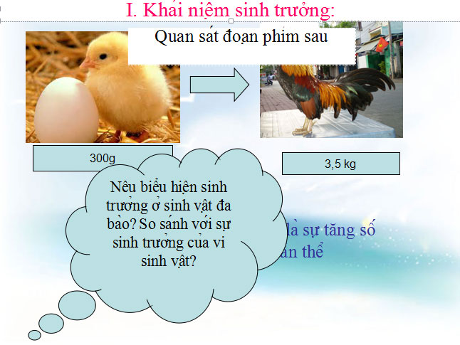 Khái niệm sinh trưởng
