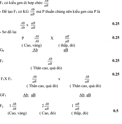 Đáp án môn sinh học lớp 9