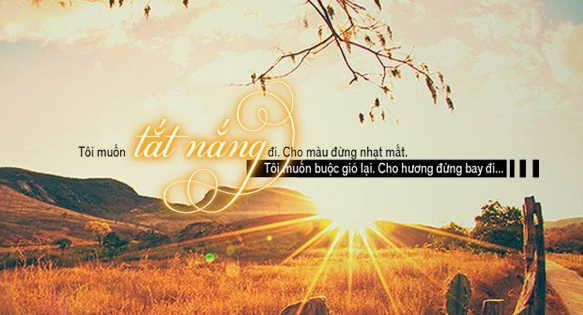 Phân tích tâm trạng trữ tình trong bài thơ Vội vàng