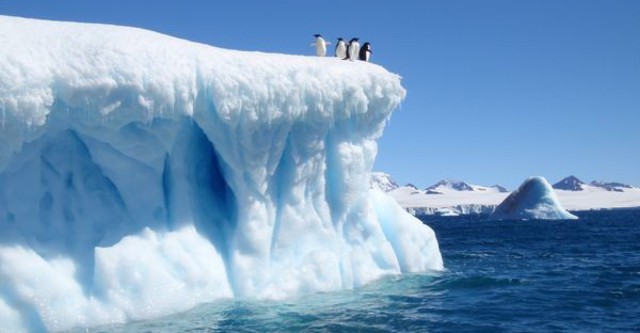 Nghị luận xã hội: Nơi lạnh nhất không phải là Bắc Cực mà là nơi thiếu vắng tình thương