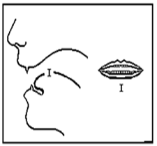 Pronunciation- Short vowel /ɪ/ and long vowel /i:/