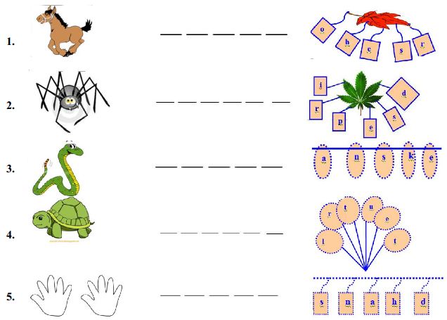 Đề thi học sinh giỏi môn Tiếng Anh lớp 2 cấp trường năm 2012 - 2013 Đề thi Tiếng Anh lớp 2