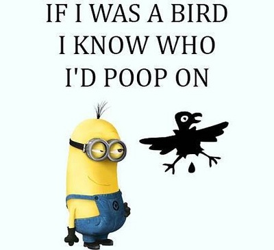 Hài hước với những câu nói của Minions