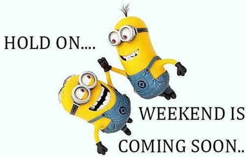 Hài hước với những câu nói của Minions