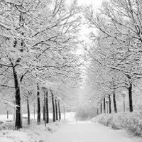 Từ vựng Tiếng Anh về giáng sinh Từ vựng Tiếng Anh theo chủ đề Noel