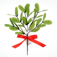 Từ vựng Tiếng Anh về giáng sinh Từ vựng Tiếng Anh Noel