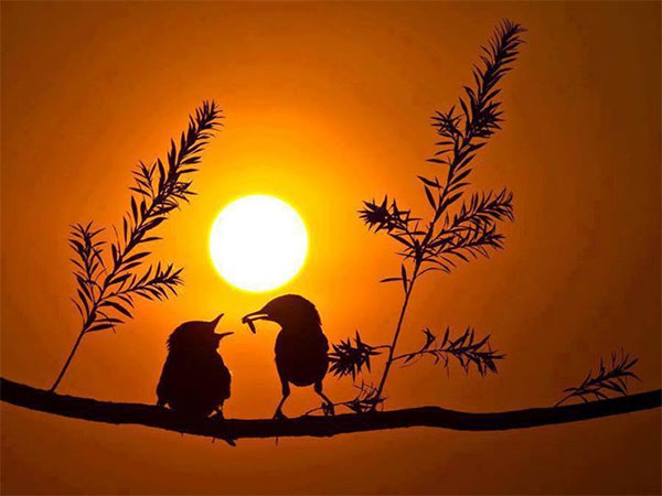 Nguyên nhân thất bại trong cuộc sống của rất nhiều người