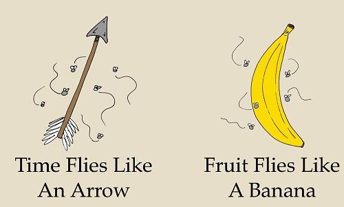 Những câu Tiếng Anh đúng ngữ pháp một cách khó tin