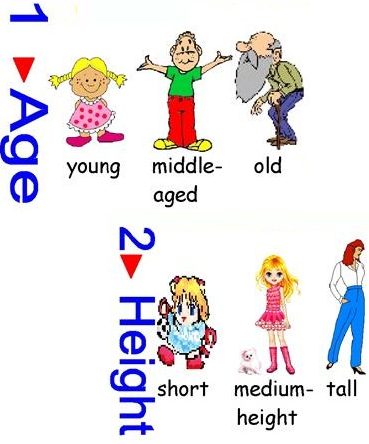 Từ vựng Tiếng Anh cơ bản