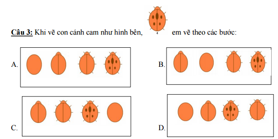 Đề thi học kì 1 môn Tin học lớp 4