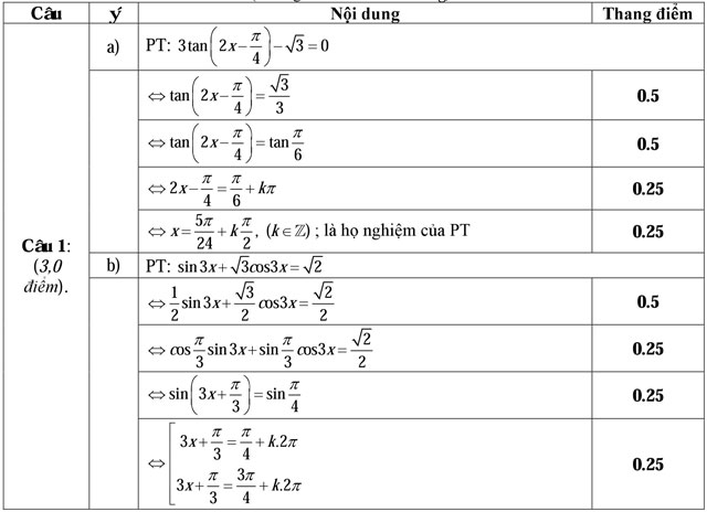 Đáp án đề thi học kỳ 1 môn Toán lớp 11