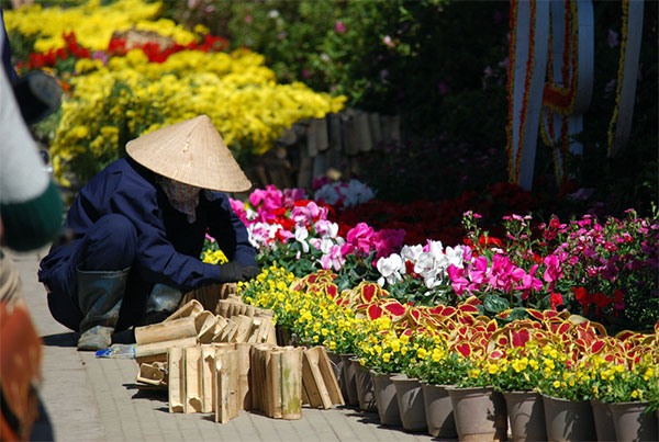 Festival Hoa Đà Lạt - Lễ hội hoa đặc sắc nhất trong năm