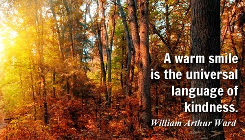 Những câu nói tiếng Anh cực hay    