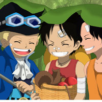 Bạn là hình ảnh phản chiếu của hải tặc nào trong One Piece?