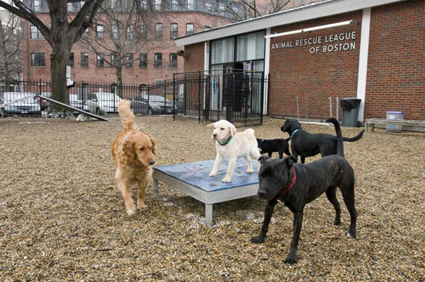 Phân biệt cách sử dụng của Group và Team