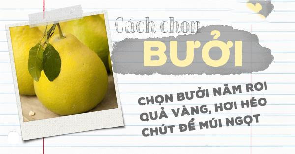  Mẹo chọn trái cây tươi ngon cho ngày Tết