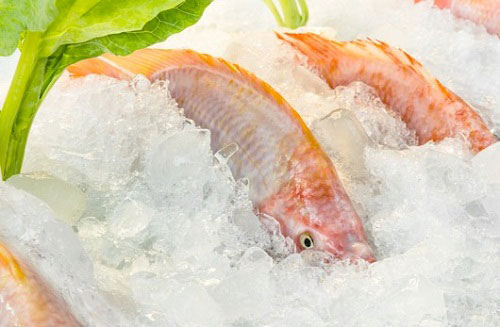 Những cụm từ 'lạnh mà không lạnh' trong tiếng Anh Những thành ngữ tiếng Anh hay