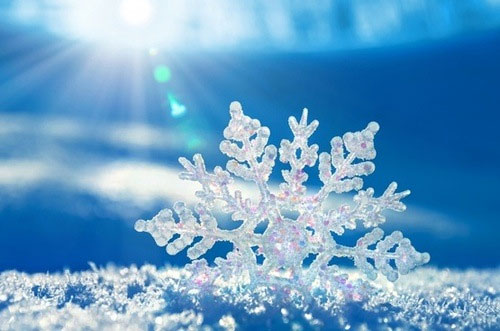 Những cụm từ 'lạnh mà không lạnh' trong tiếng Anh Những thành ngữ tiếng Anh hay