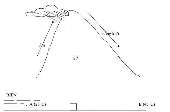 Bài tập luyện thi HSG cấp tỉnh môn Địa lý lớp 11 có đáp án