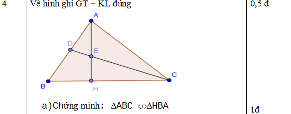 Đáp án đề thi học kì 2 môn Toán lớp 8