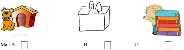 Đề kiểm tra học kỳ 2 môn Tiếng Anh lớp 5   