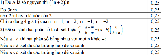 Đáp án đề thi môn toán lớp 6