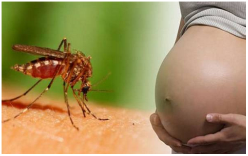Làm trắc nghiệm để biết bạn có nguy cơ nhiễm vi rút Zika hay không