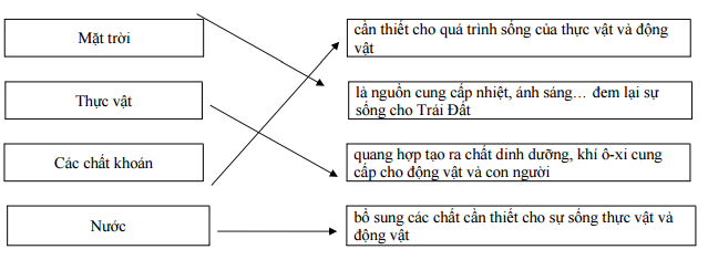 Đáp án đề thi học kì 2 môn Khoa học lớp 4