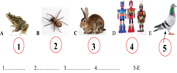 Đề kiểm tra học kỳ 2 môn Tiếng Anh lớp 4