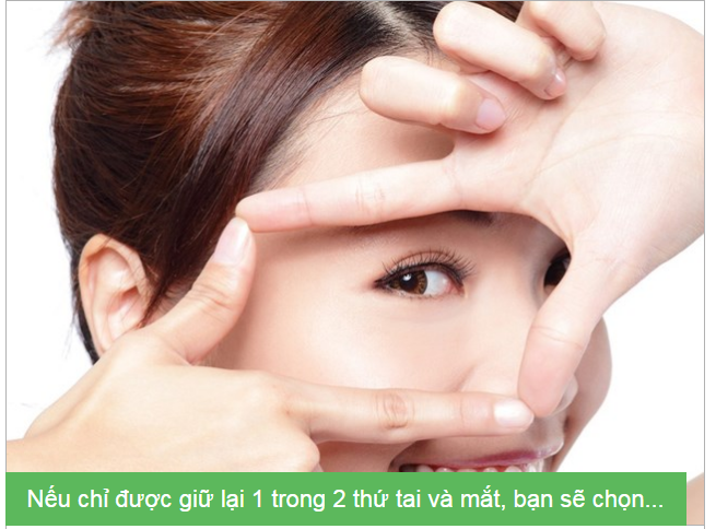 Bạn là loài cây nào?