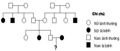 Đề thi thử THPT Quốc gia môn Sinh học năm 2016 trường PTDT Nội trú Thái Nguyên Đề thi thử THPT Quốc gia môn Sinh học năm 2016 trường PTDT Nội trú Thái Nguyên