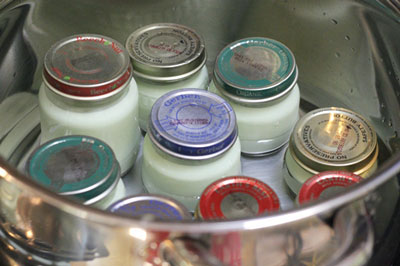 Cách làm sữa chua trà xanh tại nhà