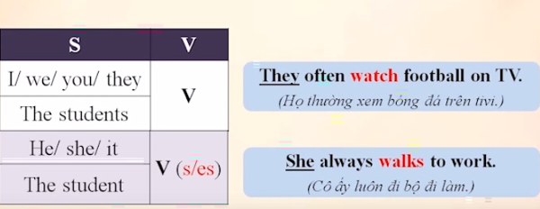 Dấu hiệu nhận biết của thì hiện tại đơn 