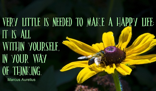 D danh ngôn về cuộc sống bằng tiếng anh