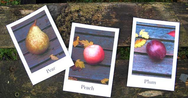 Học từ vựng tiếng anh bằng flashcard Hướng dẫn cách học từ vựng tiếng anh bằng flashcard