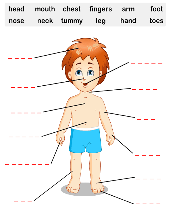 Bài tập Tiếng Anh lớp 6 thí điểm