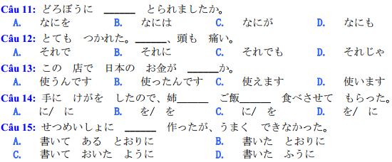 Đáp án - Đề thi chính thức THPT Quốc gia môn Tiếng Nhật năm 2016