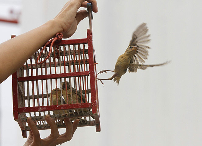 Cúng phóng sinh rằm tháng 7 và những điều nên biết