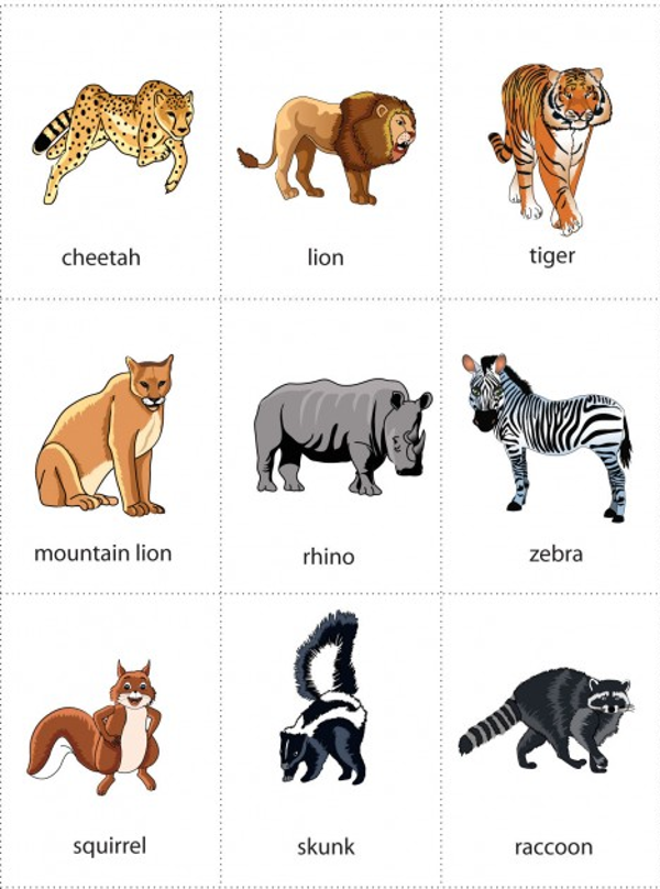 Học tiếng Anh hiệu quả với flashcard