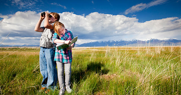 Luyện nghe chép chính tả: Bird Watching Phương pháp luyện nghe chép chính tả