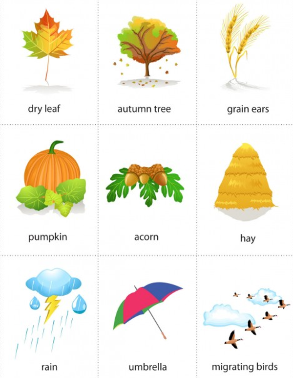 Bộ flash card học Tiếng Anh