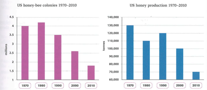 Hướng Dẫn Cách Làm IELTS Writing Task 1- Line Graph
